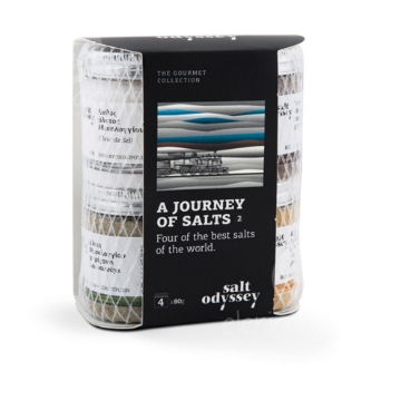 A Journey of Salt II A Journey of Salt II