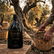 Pamako Tsounati Monovarietal Mountain Extra Virgin Olive Oil 500ml | High Phenolic Greek EVOO from Crete with 2,081mg/kg Poly...